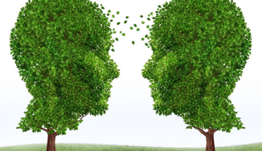 communication environnementale